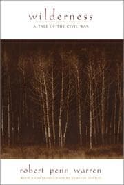 Cover of Wilderness