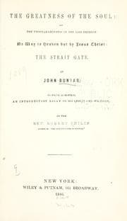 Cover of The Jerusalem-sinner saved