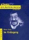 Cover of Im Krebsgang