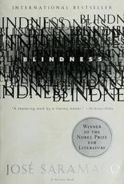 Cover of Blindness