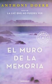 Cover of Memory Wall